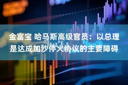 金富宝 哈马斯高级官员：以总理是达成加沙停火协议的主要障碍